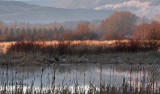 Marsh Sunrise