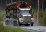 Haulin Logs