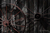 The Wheel<br>Weekly Challenge #6 - Transportation