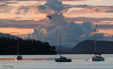 Sunsets and Saltwater<br>Week #7 - Memorials/Memories