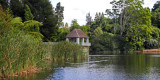 HAMILTON BOTANICAL GARDENS