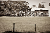 Miners hut, Newstead I