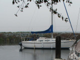 boat_1290.JPG