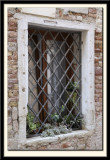 Window Grille
