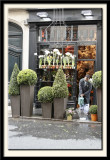 Conifer Emporium