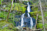 Fern Branch Falls 3