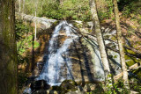 April 25 - Upper Courthouse Creek