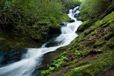 Roaring Fork Falls 3