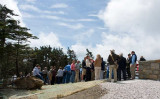 Mt Mitchell State Park 8