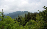 Mt Mitchell State Park 18