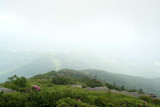 Roan Mountain 7