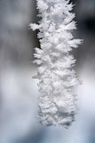 Blue Ridge Parkway Snow 5