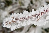 Blue Ridge Parkway Snow 6