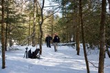 February 21 - More Blue Ridge Parkway Snow