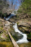 Chestnut Ridge Heritage Preserve 9