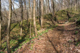 Chestnut Ridge Heritage Preserve 11