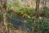 Fly Fishing on Deep Creek