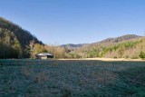 Cataloochee Valley 6