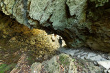 Alum Cave Trail 10
