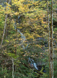 waterfall on Maple Branch 1