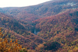 Cane Creek Mountain 4