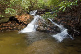 December 1 - Corbin Creek & upper Chattooga River