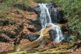 waterfall on Log Hollow Branch