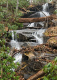 upper waterfall on Bennett Branch Trail