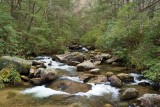 Middle Saluda River 2