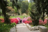 Biltmore Gardens 14