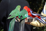 090809 Birds 091.jpg