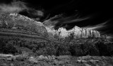 DSC_2436t.jpg