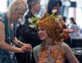 DSC01617 - Medium - SRGB.jpg