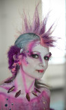 DSC01783 - Medium - SRGB.jpg