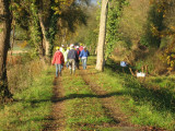 The walk to site