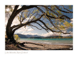 (010) End of Summer, Wanaka