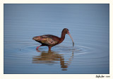 20100507_Bear River_0067.jpg