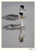 20100508_Bear River_0367.jpg
