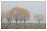 20080425_Yellowstone_0018.jpg