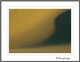 Mesquite Dunes Dawn