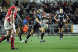 Ospreys v Scarlets13.jpg