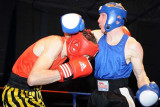 Welsh aba Boxing Champs11.jpg