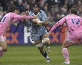 CardiffBlues v Stade6.psd.jpg