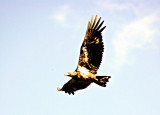 035_N6Y2685-01.jpg