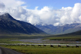 075_N6Y1933-01.jpg