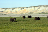 095_N6Y1458-01.jpg
