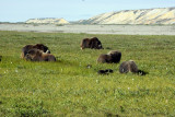 096_N6Y1460-01.jpg