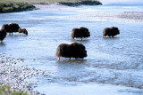 103_N6Y1509-01.jpg