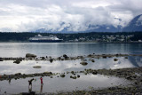 133_N6Y2044-01.jpg