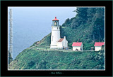 OregonCoast0105-copy-b.jpg